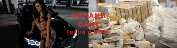 трава Новозыбков